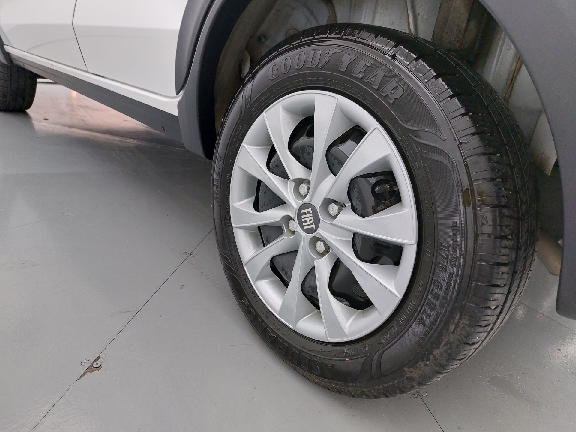 Foto número 12